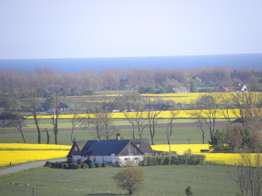 Glimminge Bed & Breakfast Simrishamn
